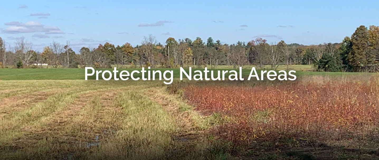 Protecting Natural Areas